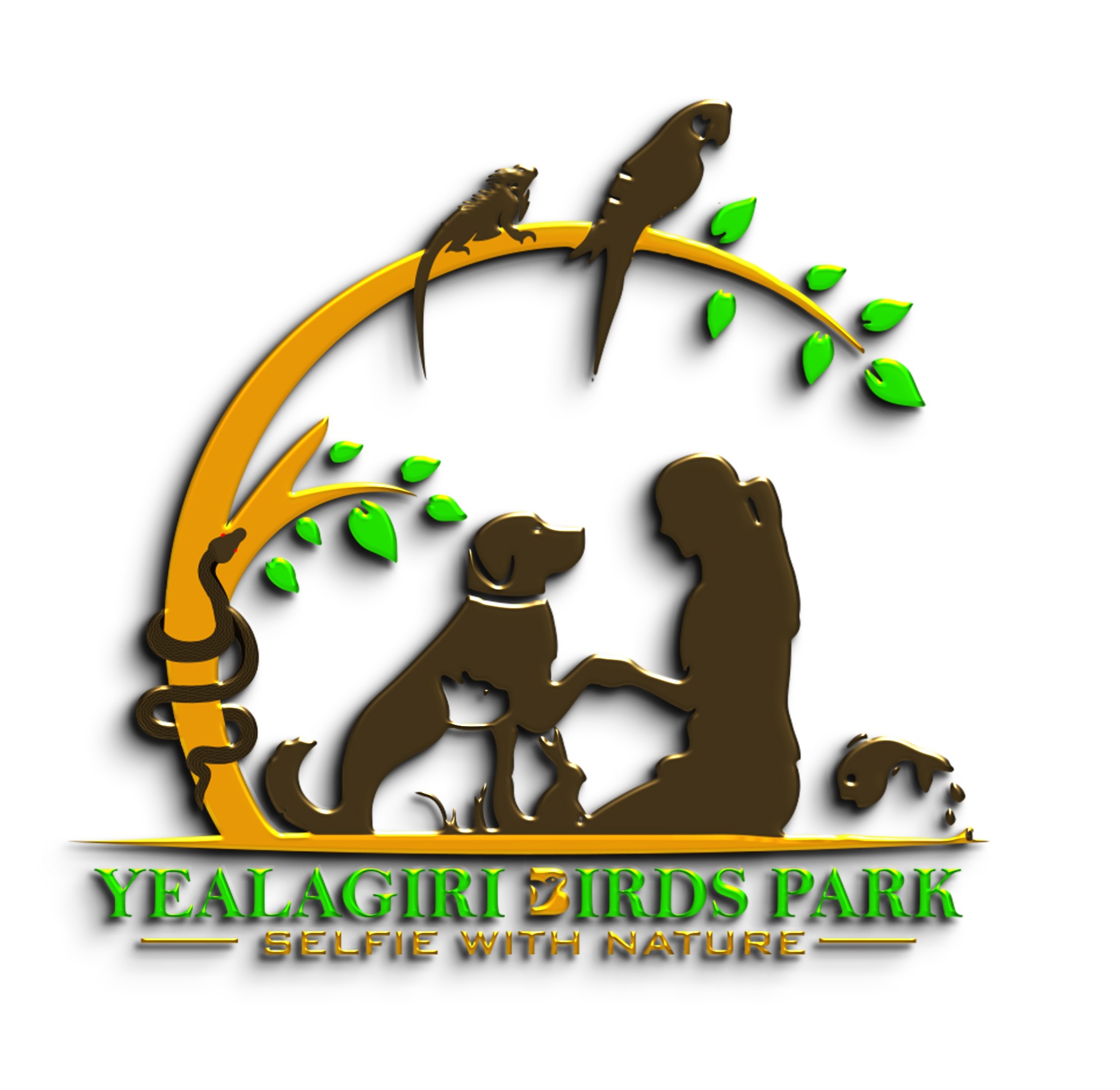 Yelagiri Birds Park